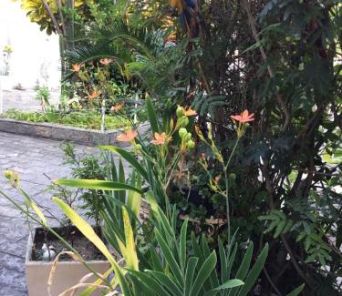 Vila Valqueire House | Casa aconchegante em Vila Valqueire