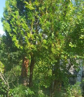 Valea Lunga Cricov Villa | Casa Adelina
