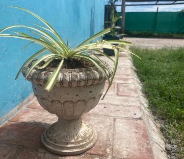 San Luis Apartment | Casa Adianchi