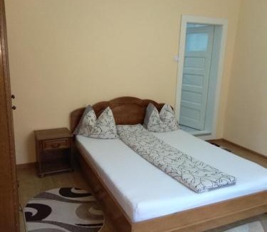 Sapinta House | Casa Adriana