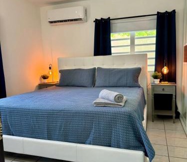 Levittown House | Casa Agave Oasis Levittown