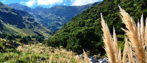 Merlo House | Casa Aguaribay para 4 personas, cerca del centro, Merlo San Luis