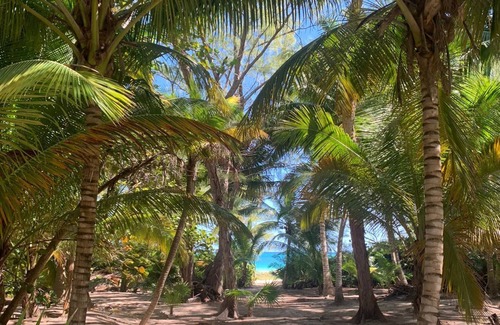 Chacchoben Villa | Casa Airam Beachfront Villa in Sian Kaan
