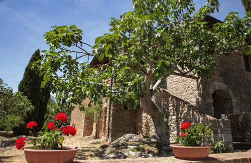Simignano Apartment | Casa al Gianni - Il Fico