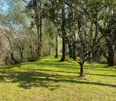 Partido de Tigre House | Casa al rio - Malen