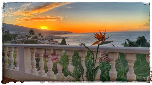 La Quinta House | Casa Alena