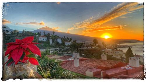 La Quinta House | Casa Alena