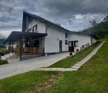 Oestii Paminteni House | Casa Alex