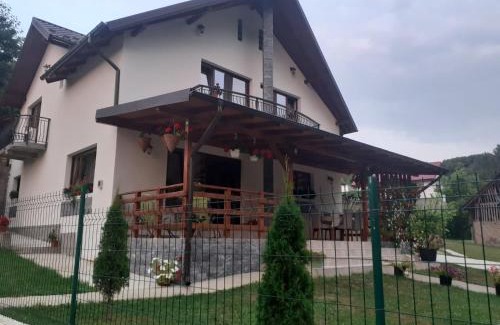 Oestii Paminteni House | Casa Alex