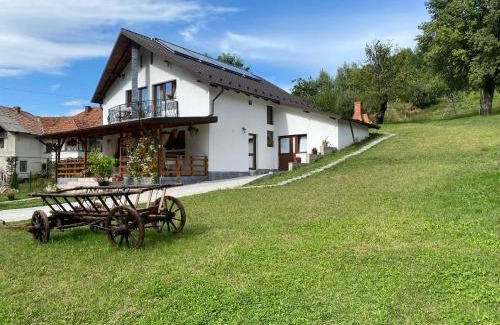 Oestii Paminteni House | Casa Alex