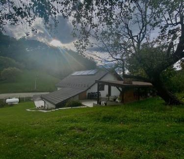 Oestii Paminteni House | Casa Alex