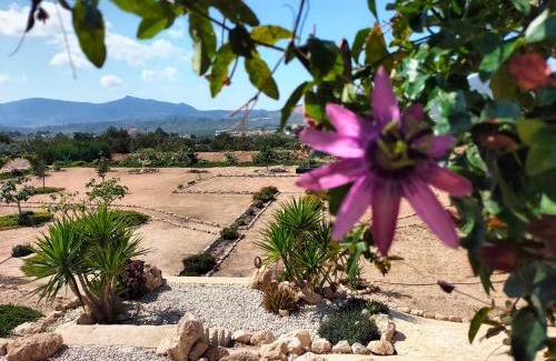 Hondon de las Nieves Villa | Casa Algezar
