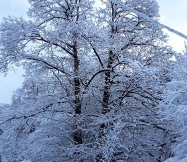 Bannio Anzino Apartment | Casa all'Alpe Gaggetto B & B