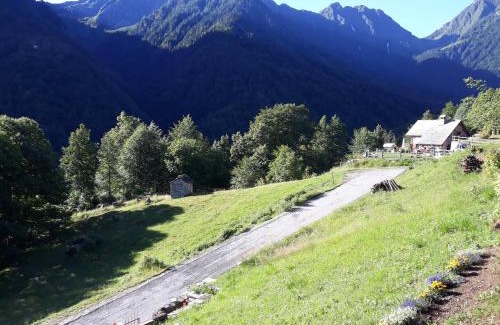 Bannio Anzino Apartment | Casa All'Alpe