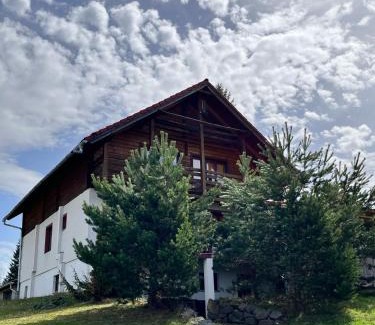 Voslabeni House | Casa alpin