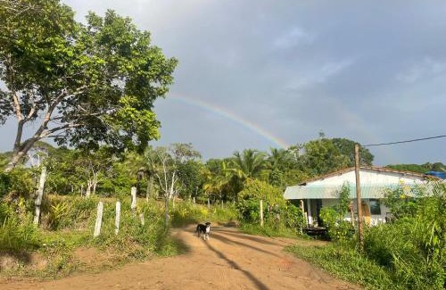 Serra Grande House | Casa Amar com vista para o mar