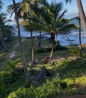 Serra Grande House | Casa Amar com vista para o mar