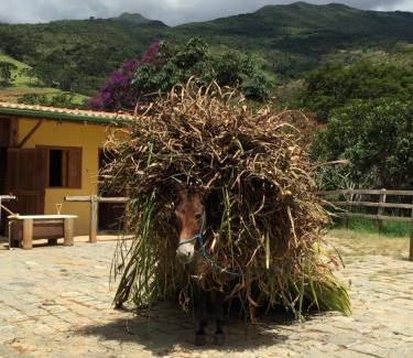 Passa Quatro House | Casa Amarela