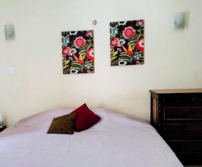 Aparecida House | Casa amarela com fundos para seminário