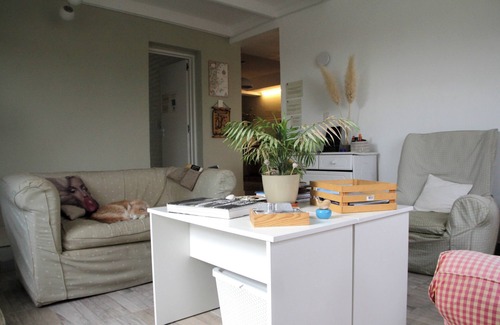 Puerto Madryn Hotel | Casa Amonite Hostel Boutique