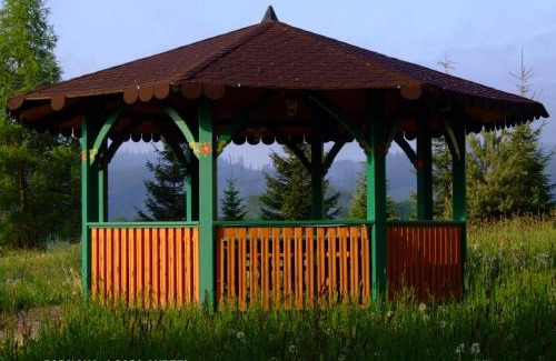 Dorna Candrenilor Villa | Casa Ana Vatra Dornei