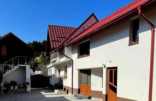 Vulcan Apartment | Casa Andreuță