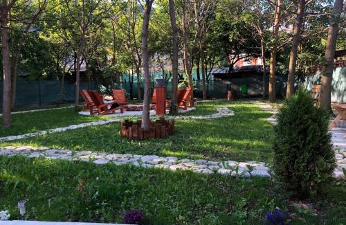 Anina House | Casa Anina