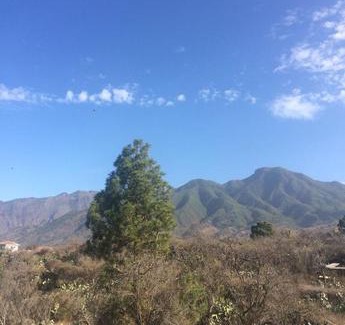 Tajuya House | Casa Antigua El Paso