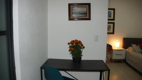 Santa Lucia del Camino Apartment | Casa Apolonia