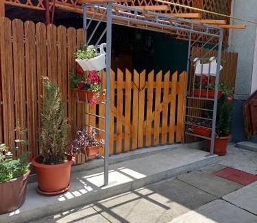 Ocna Mures House | Casa Augustina