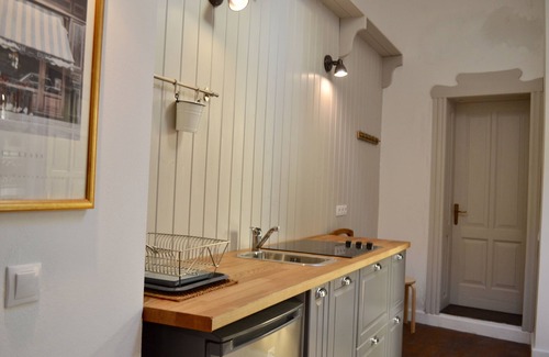 Sighisoara House | Casa Augustus (One-large bedroom apartment)