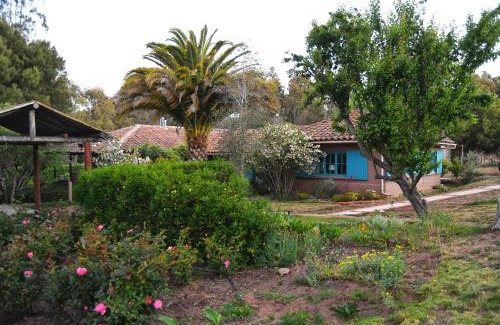 Paredones Bed & Breakfast | Casa Azul de San Pancho