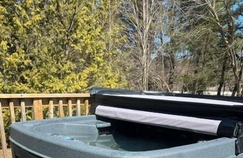 Bracebridge Apartment | Casa Azul offers a bright, open concept space with 2 queen & 3 twin beds it comfortably sleeps 7.