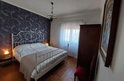 Penalva Do Castelo House | Casa Azul Vales
