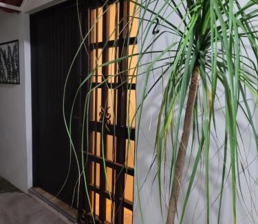 Calzada Madero Apartment | Casa B & L Céntrico Departamento
