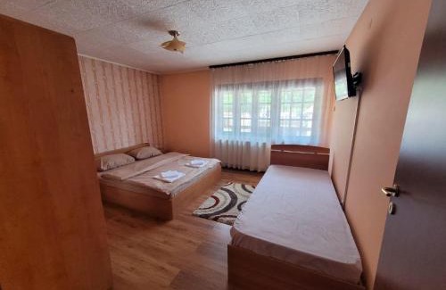 Baile Herculane Villa | Casa Bașu