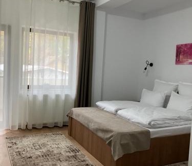 Caciulata House | Casa BABI