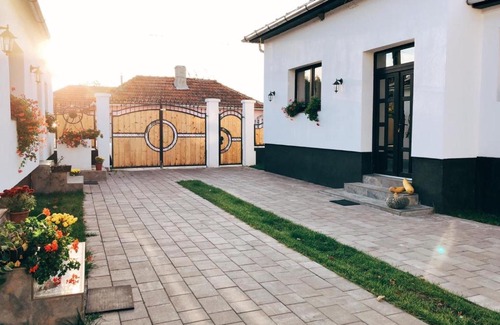 Salasu de Jos House | Casa Badea