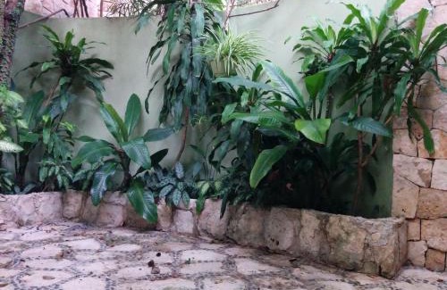 Playacar House | Casa Beard, Spacious Guest House with High Speed WiFi & Pool.