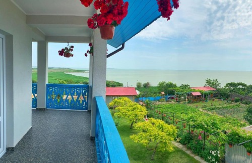 Sarichioi House | Casa Beluga
