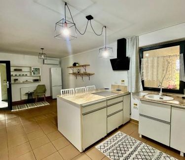 Birsana House | Casa Boila