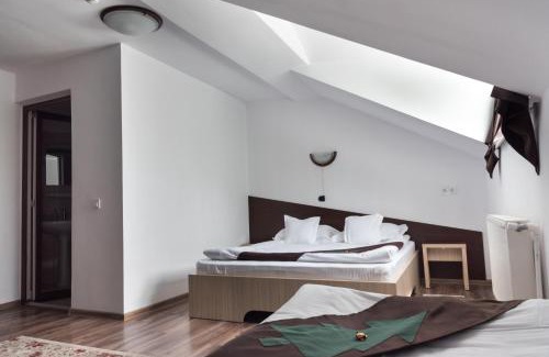 Gura Humorului House | Casa Bradul Voronet