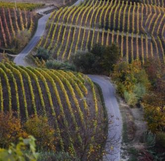 Trezzo Tinella Bed & Breakfast | Casa Branzele