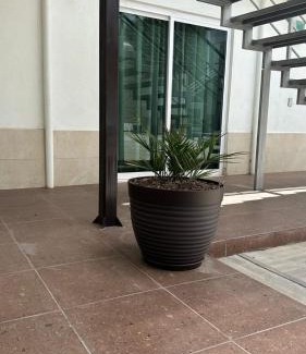 Huamantla House | CASA BRAVO