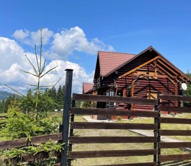 Dorna Candrenilor House | Casa Brindusa