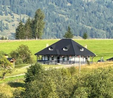 Saru Dornei Villa | Casa Bunicii