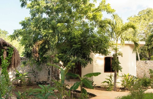 Buenavista House | Casa Cactus Buenavista