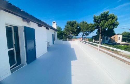 Misano Monte Bed & Breakfast | Casa Camilluccia