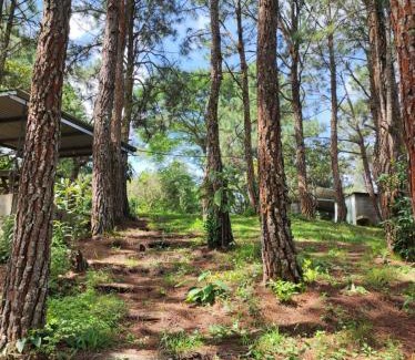 La Palma Other | Casa Campo Loma Larga