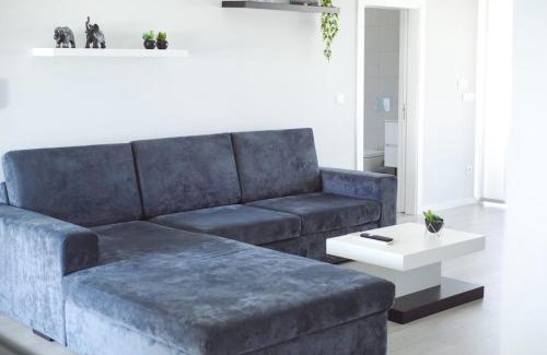 Ponte de Vagos House | Casa Carlotti